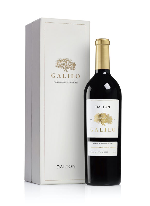 Dalton – Galilo 2019